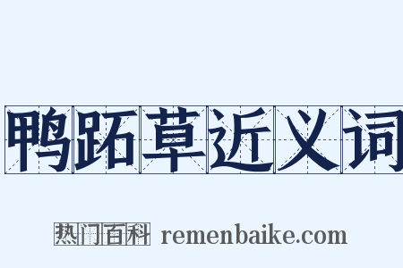 鸭跖草近义词是什么意思的图片